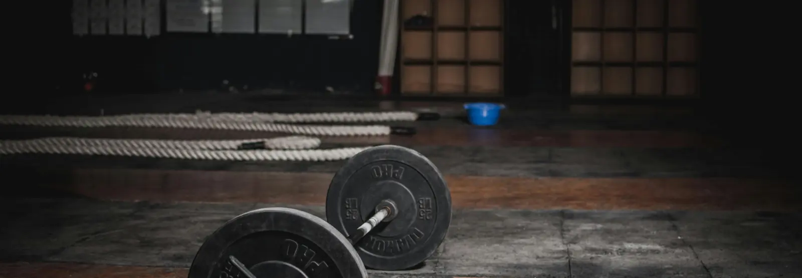 Strength training equipment in a focused gym environment
